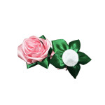 ROSA ETERNA ROSADA (PQTX24):