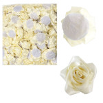 ROSA ETERNA CREMA DE TELA (PQTX100)