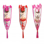 ROSA CON OSO FELIZ DIA (PQTX12):