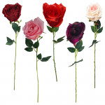 ROSA DECORATIVA SURTIDA: