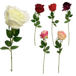 ROSA DECORATIVA SURTIDA: