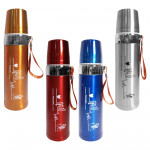 TERMO TERMICO ESTAMPADO 800ML