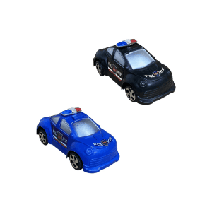 CARRO DE POLICIA EN BOLSA