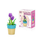 ARMABLE DIDACTICO PLANTA