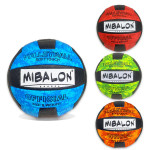 BALON DE VOLEIBOL #5