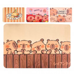 TAPETE ESTAMPADO 38*58CM BMR-6304