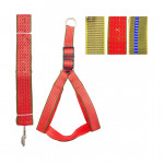 LASO COLLAR PARA MASCOTA RINPETS 4CM*1.2MT BMR-4855