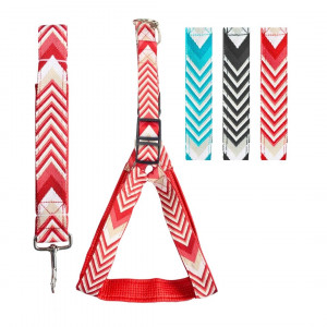 LASO COLLAR PARA MASCOTA RINPETS 4CM*1.2MT BMR-4856