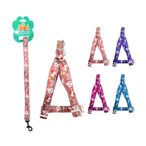 LASO COLLAR PARA MASCOTA RINPETS 1.5CM BMR-5106