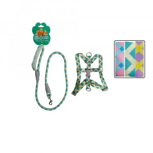 LASO FINO + COLLAR CON AGARRADERA MASCOTA BMR-4863 (PQTX12)