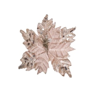 FLOR NAVIDEÑA CHAMPAÑA((BNDJAX72))