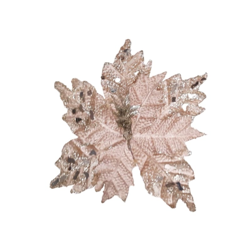 FLOR NAVIDEÑA CHAMPAÑA((BNDJAX72))