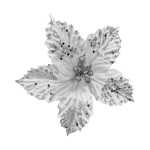 FLOR NAVIDEÑA PLATEADA (BJX120)