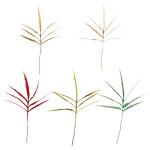 PIN NAVIDEÑO (PQTX5XCOLOR)