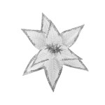 FLOR NAVIDEÑA BLANCA 28CM (BJX80)