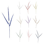 PIN NAVIDEÑO (PQTX5XCOLOR)