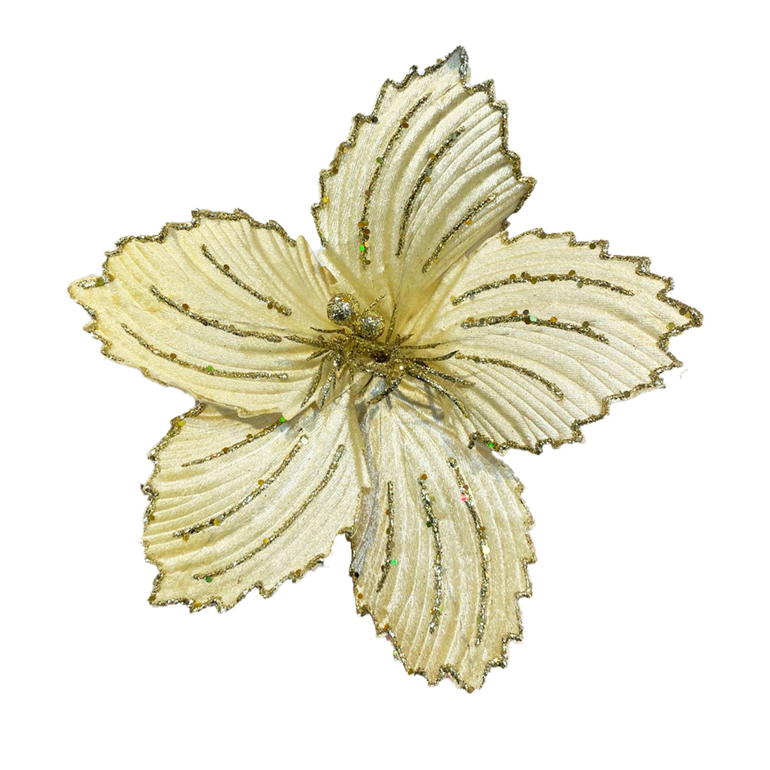 FLOR NAVIDEÑA CHAMPAÑA ( BJ x 100)