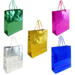 BOLSA REGALO HOLOGRAMA 21.5*18*7CM (PQTX12)